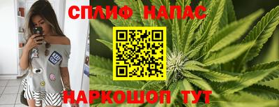 apvp Заволжье