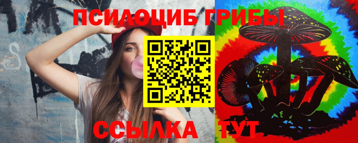 Галлюциногенные грибы Psilocybe Магнитогорск