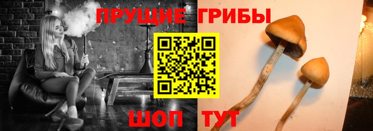 Галлюциногенные грибы ЛСД  Псилоцибиновые грибы Psilocybe  Магнитогорск  Вход с VPN 